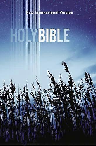 NIV, Value Outreach Bible