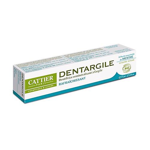 Dentargile Mint Toothpaste 75 ml (Mint)