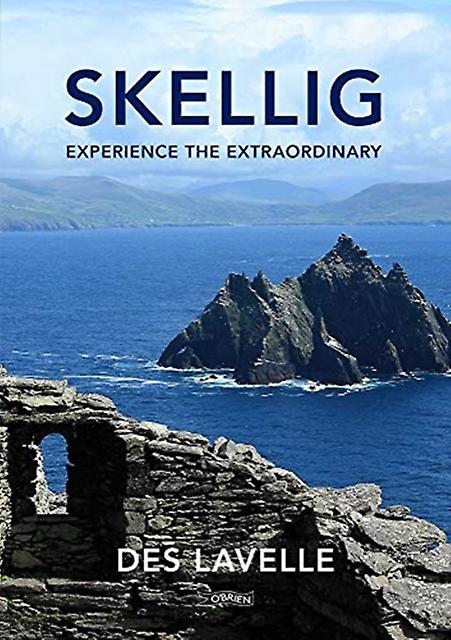 Skellig by Des Lavelle Paperback Book