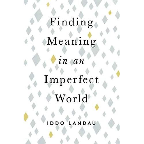 Finding Meaning in an Imperfect World