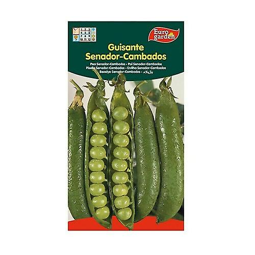 Cambados Senator Pea Seeds 35 g