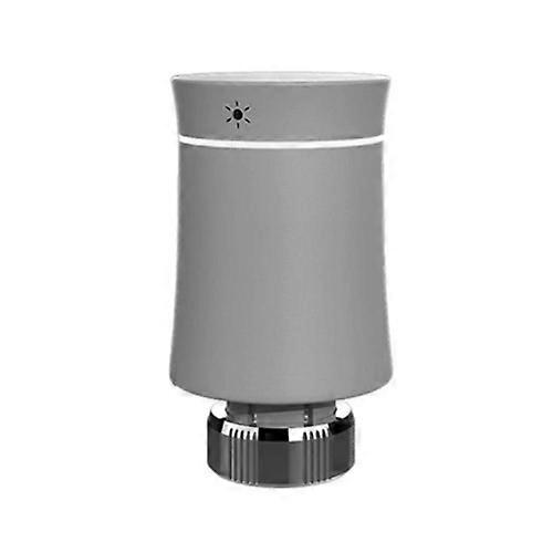 BRT-100 LED Display Temperature Control Valve