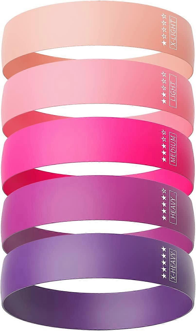 Resistance Bands Elastic Exercise Latex Loop Bands Set of 5 for Men Women Workout Bands with Instruction Guide and Carry Bag Stretch Fitness Bands for