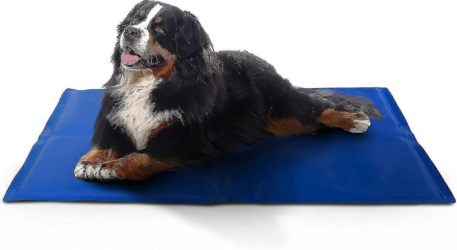 Pet Ψύξη Χαλάκια Αυτοψύξη Mat κρεβάτι για σκύλους, γάτες για την πρόληψη της υπερθέρμανσης κατά τη διάρκεια της ανάπαυσης &sleep θερμότητα απορροφώντας gel μαξιλάρι μαξιλάρι Pad για να κρατήσει τον πάγο δροσερό στο Su