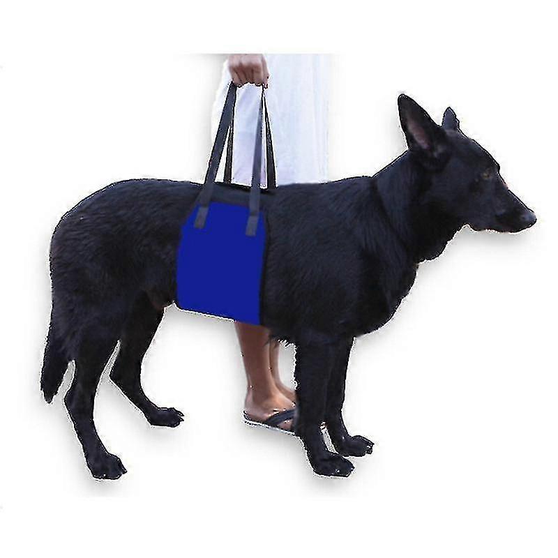 تسخير رفع ، دعم وانتعاش حبال ، إعادة تأهيل الأليفة يرفع سترة قابل للتعديل تنفس Stra