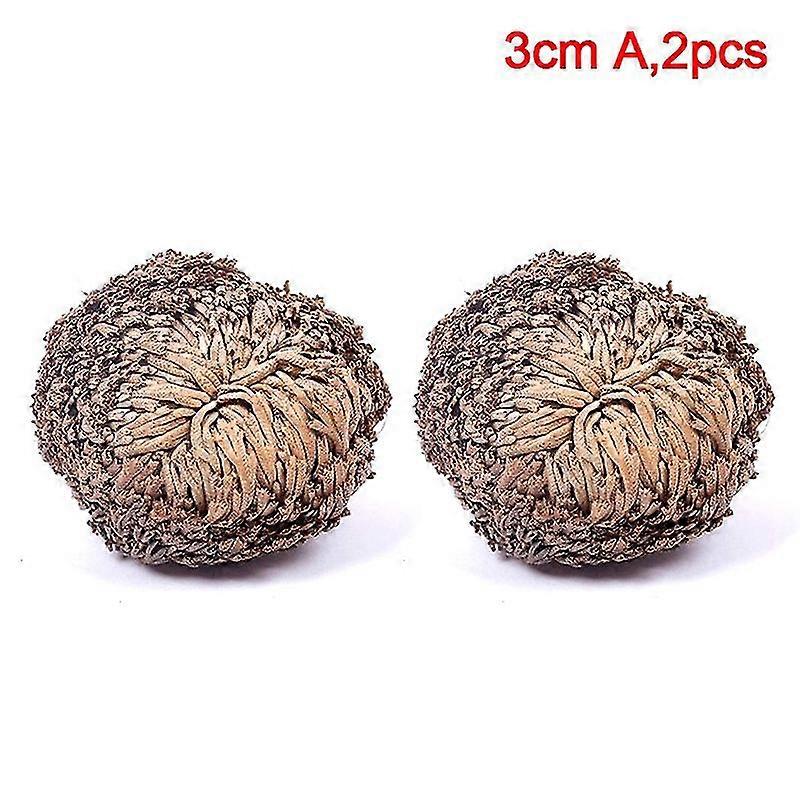 Nuova Resurrezione Pianta Aria Felce Selaginella Muschio Immortalato Erba Foglie secche A