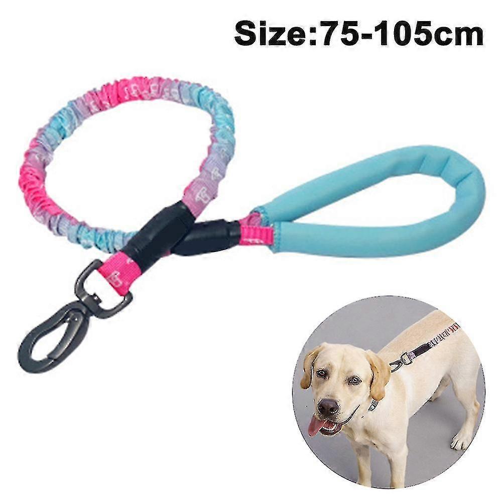 Heavy Duty Rope Bungee Leash For Large And Medium Dogs With Anti-pull