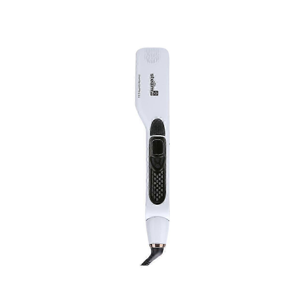 Professional Salon Steam Hair Straightener, Ceramic Steam Flat Iron With Removable Comb Eu Plug Whi