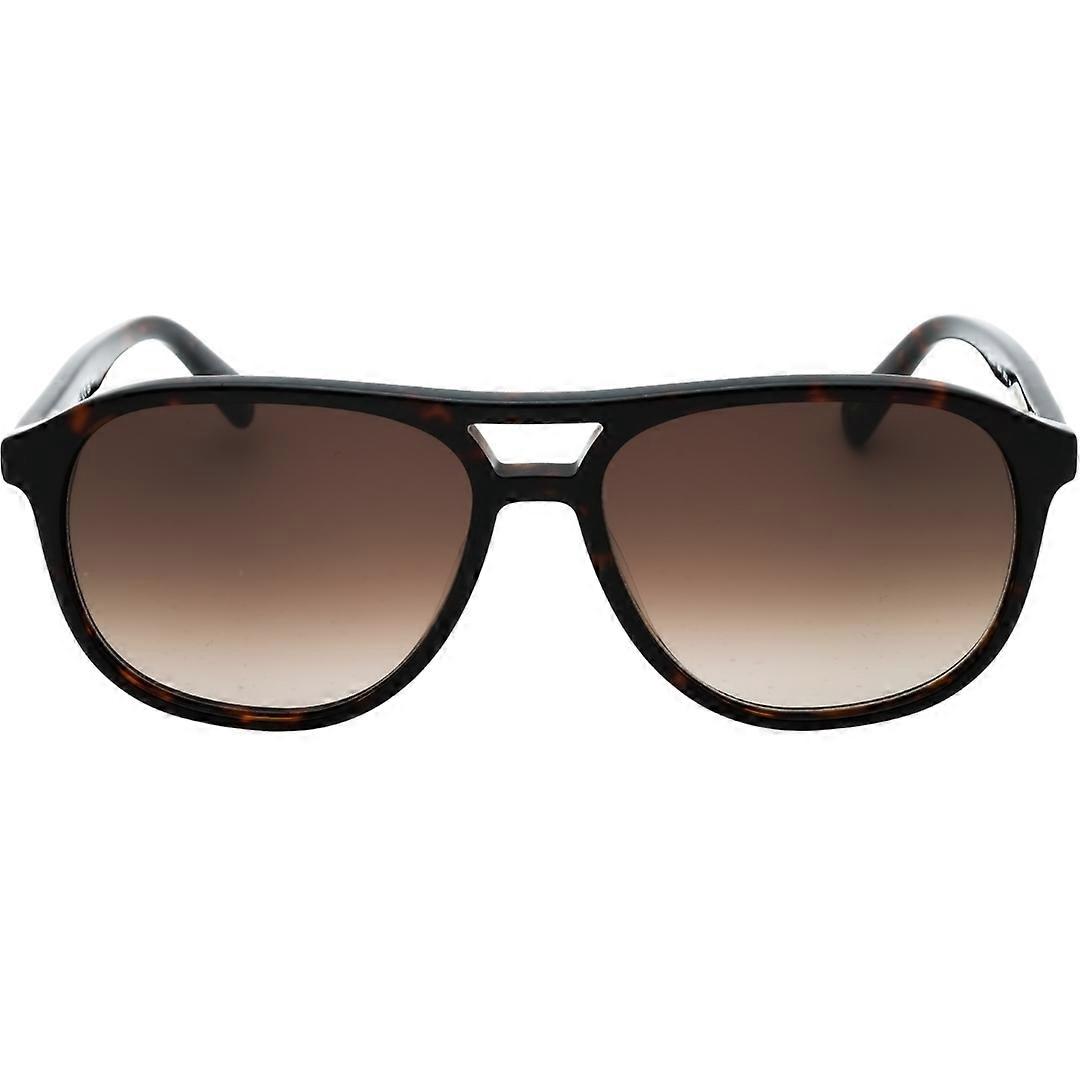Banana Republic Brown SF Lensed Havana Sunglasses