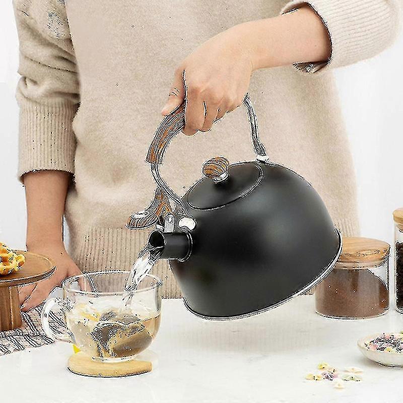 2,5 l rustfrit stål fløjte tekande fødevarekvalitet tekande til at gøre te kogende kompatibel med gaskomfur induktionskomfur - myntegrøn