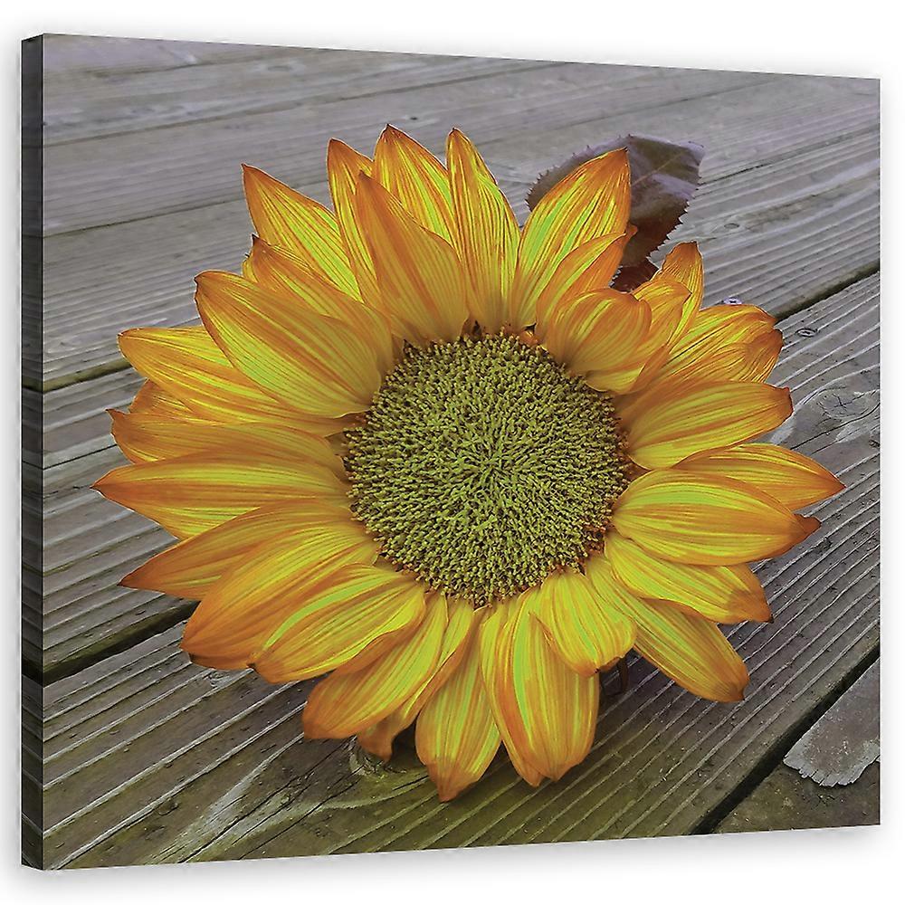 Impression sur toile, Tournesol jaune - 60x60