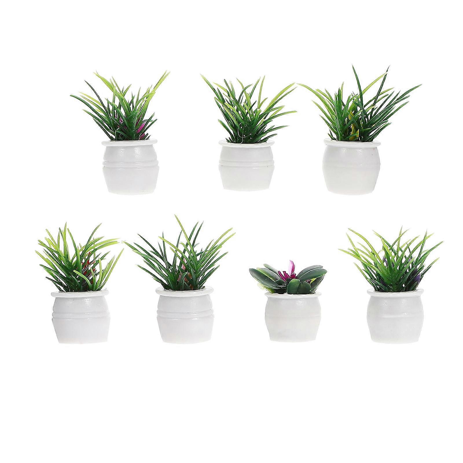 Cute Mini Bonsai for Adding Charm to Your Miniature Displays