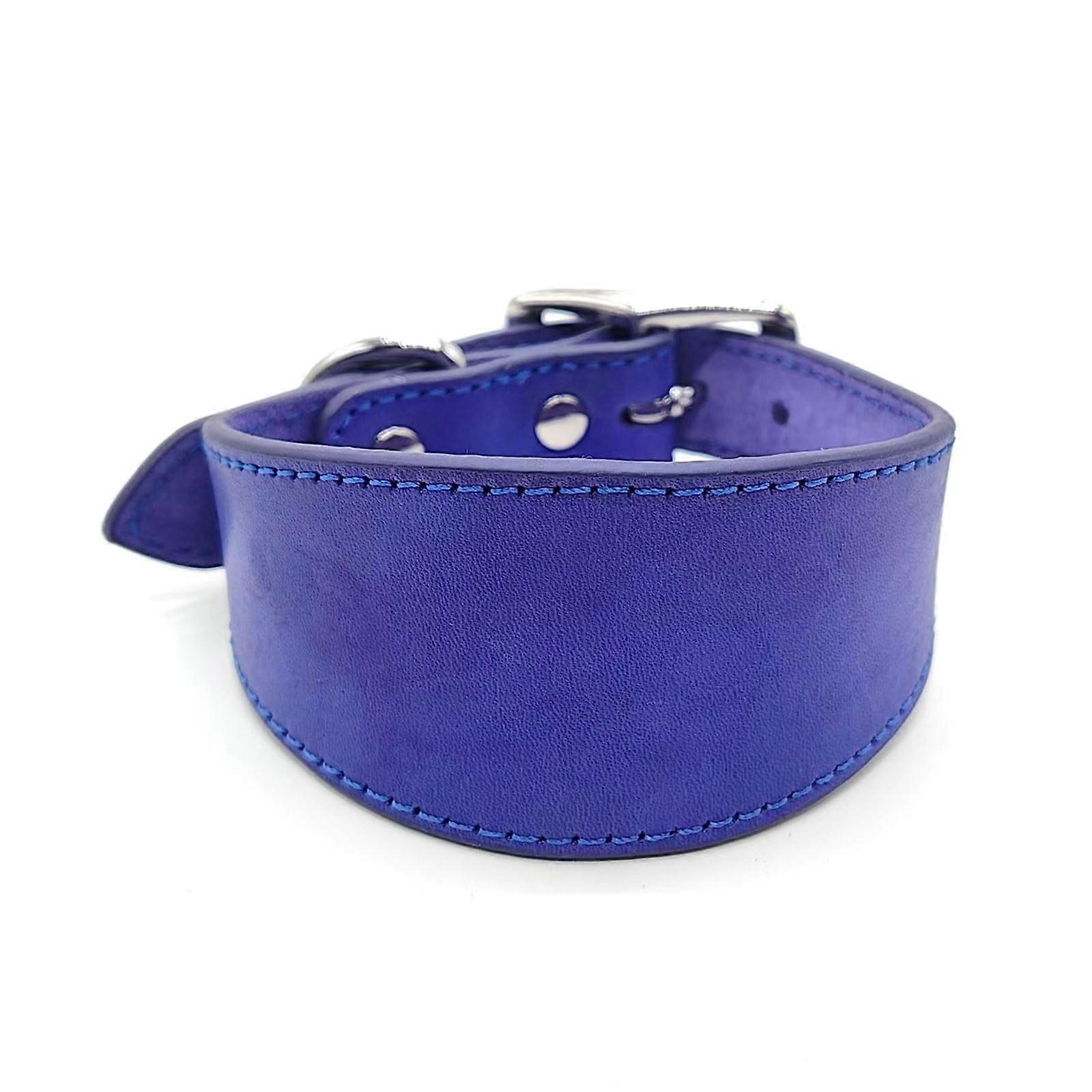 Soft padded leather dog collar for Whippets, Salukis, Greyhounds, adjustable collar for large breeds.