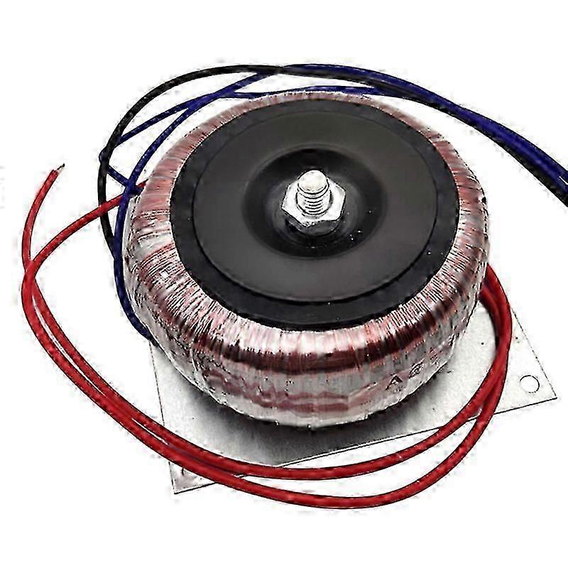 Doppio trasformatore toroidale in rame da 12 V Alimentatore Doppio trasformatore di loop di alimentazione per amplificatore di potenza