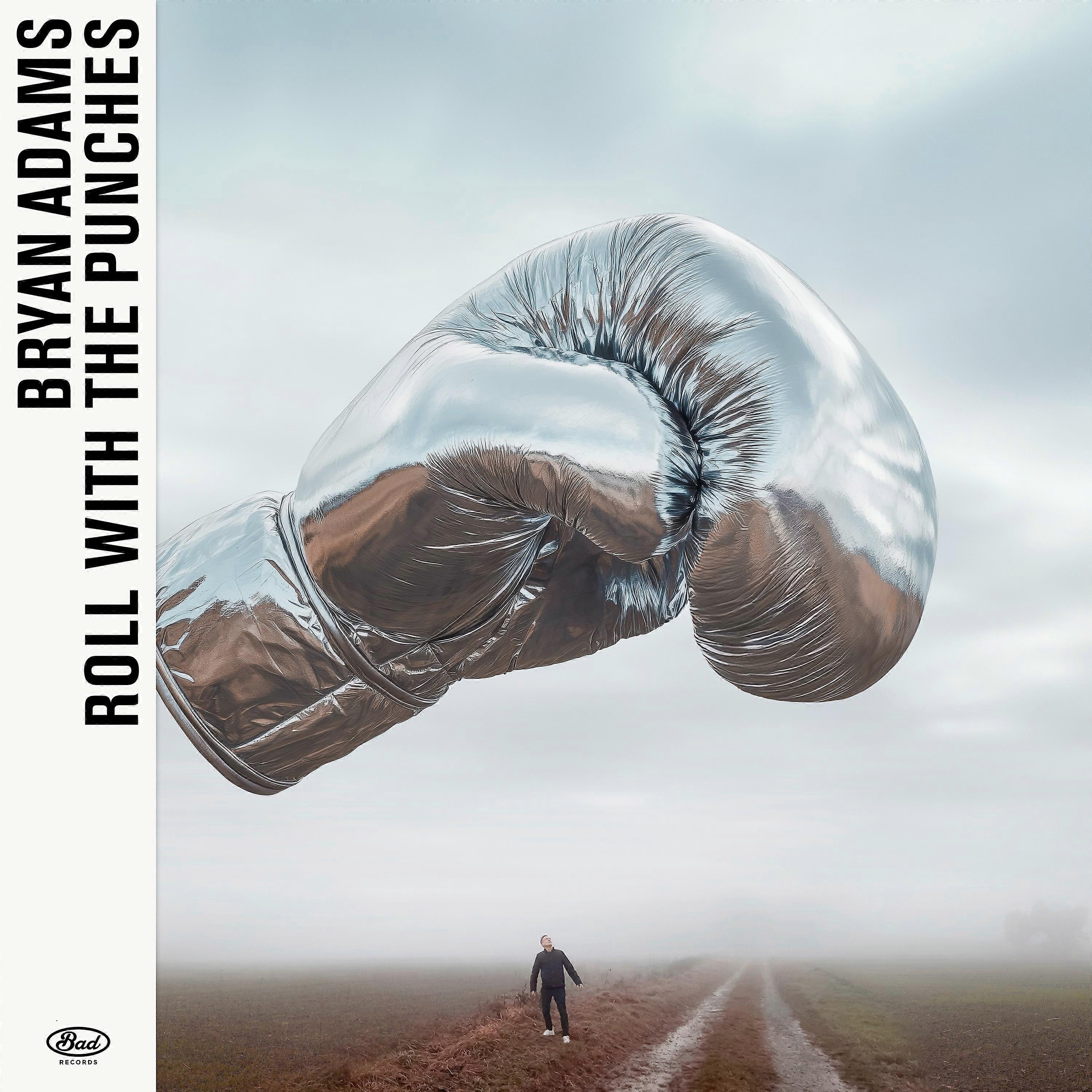 Bryan Adams - Roll With The Punches [VINYL]