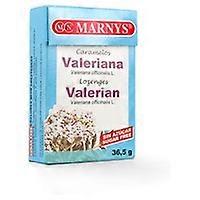 Sugar-free Valerian Candy 36.5 g
