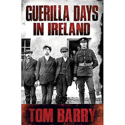 Días de guerrilla en Irlanda