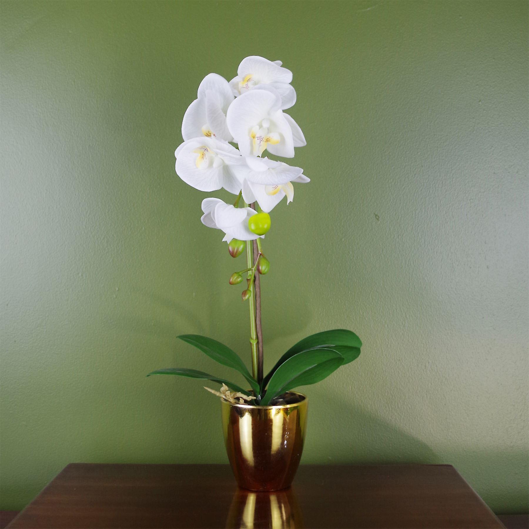46cm Artificial Orchid White and Gold