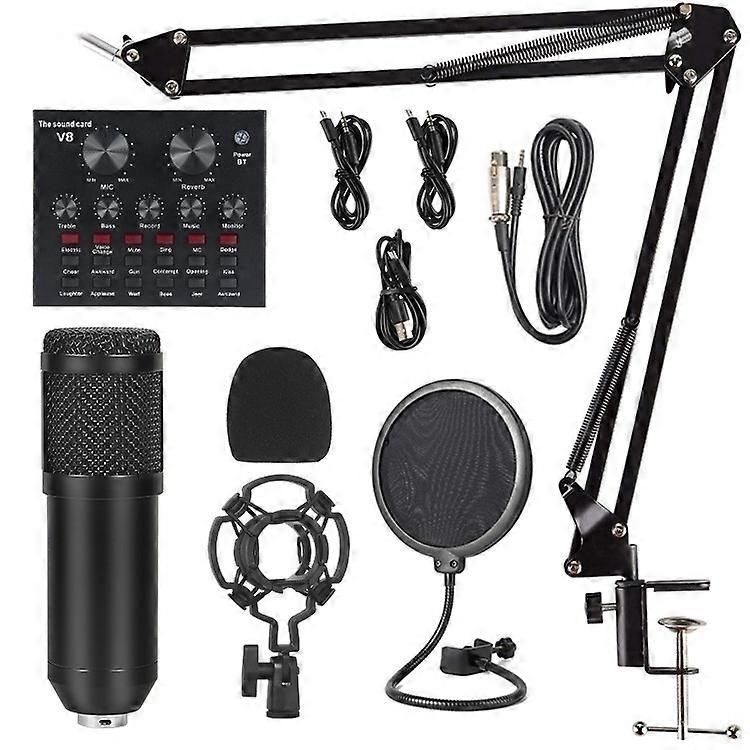 Professional recording studio audio interface karaoke microphone V8 sound card capacitor microphone 