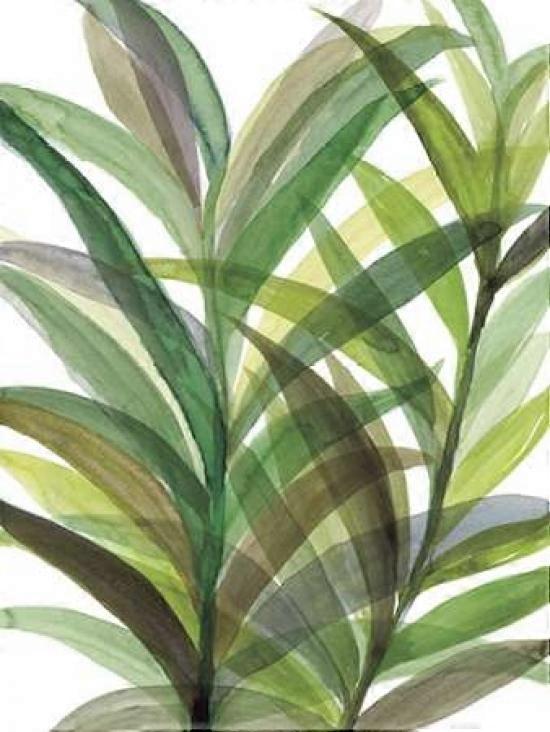 Tropical Greens II Poster