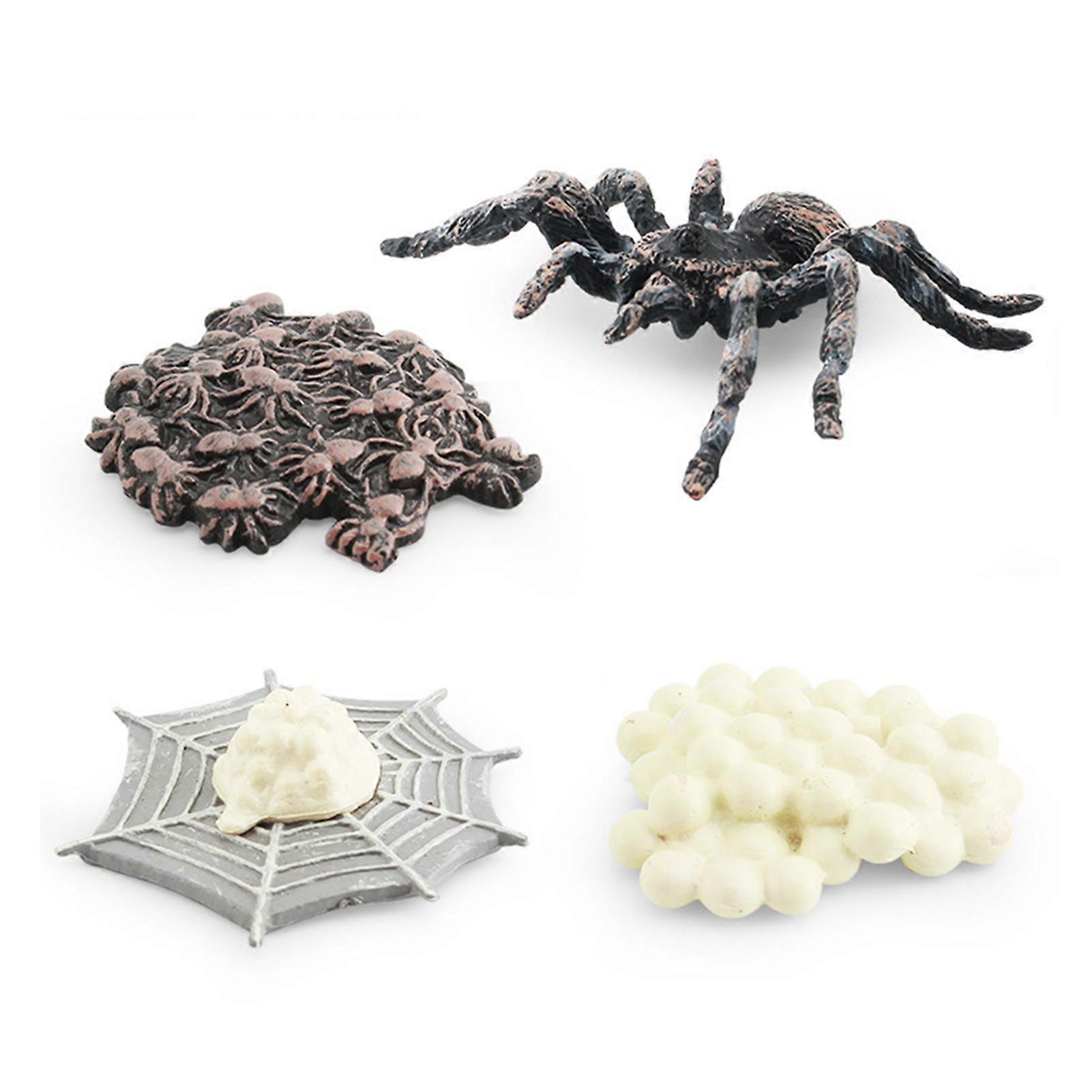 4pcs Creative Grasshopper/Cicada/Bee/Spider Growth Cycle Model Toys Delicate and Compact Animals Figurines for Home Car