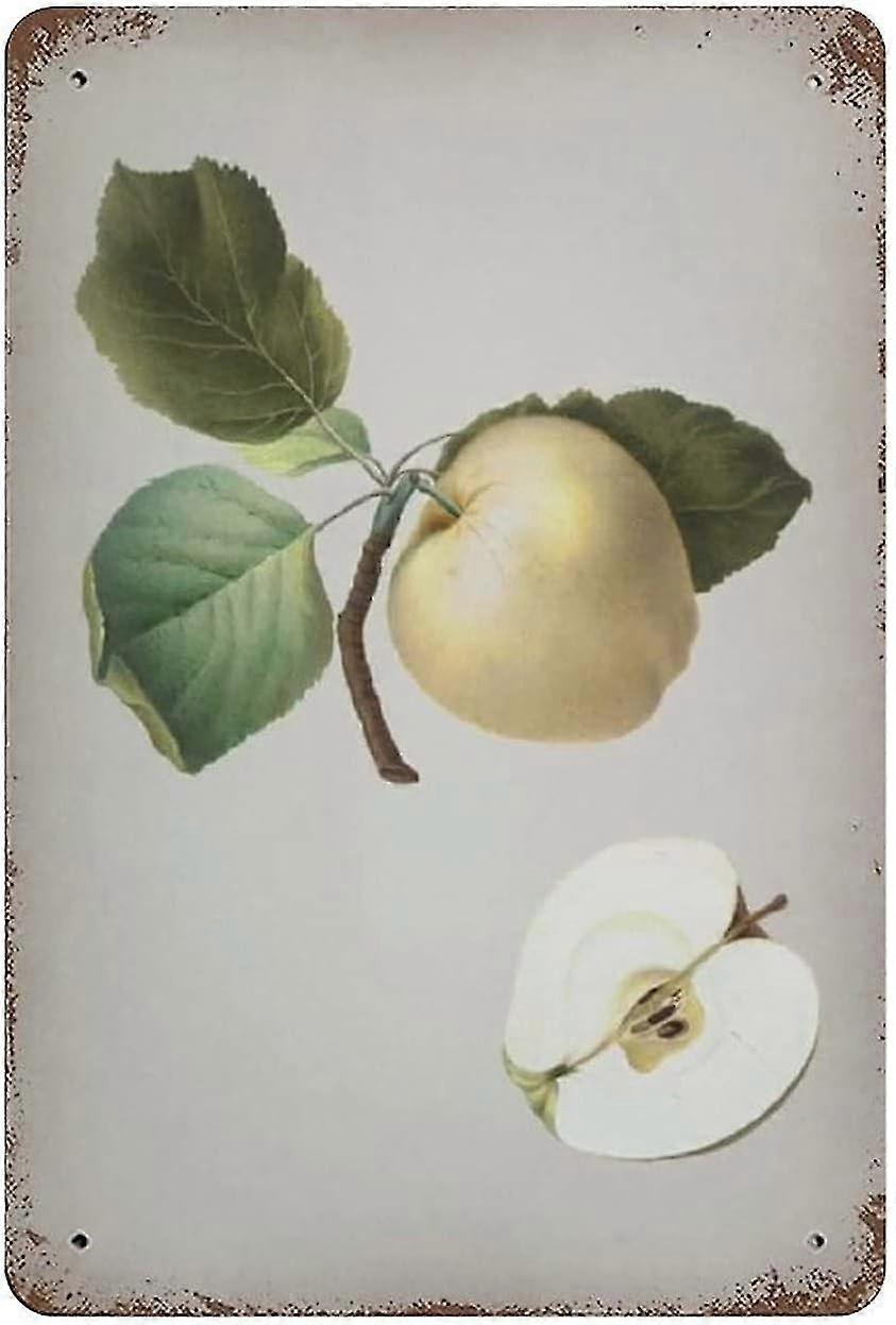 Placa de Metal Allium Scorzonera Folium Decoração 8x12 Polegadas OU 12x16 Polegadas Modo 1948