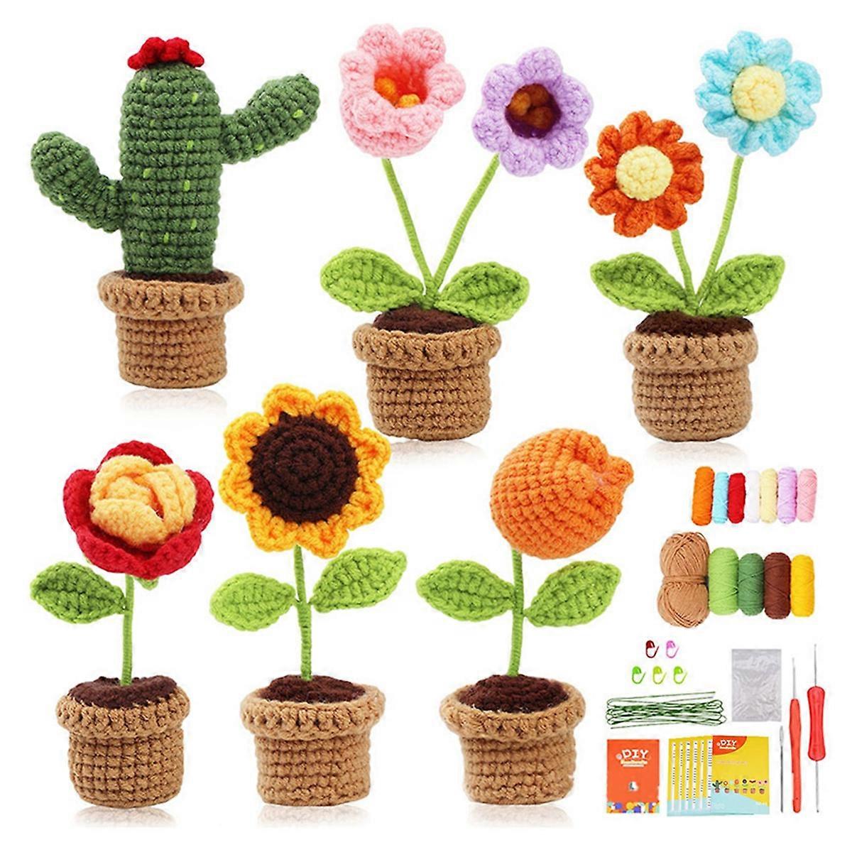 Complete Crochet Kit for Beginners,Flower Cactus Plants Crochet Kit