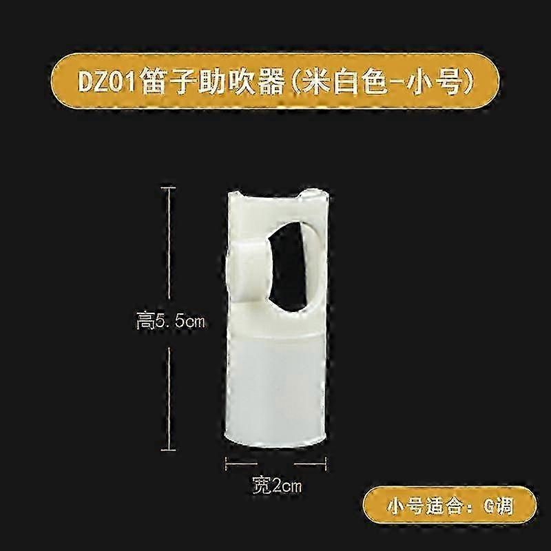 2pcs Mouthpiece Replacement for Beginner Flute, Compatible with C/D Tone Flutes, Ideal for Flute Players