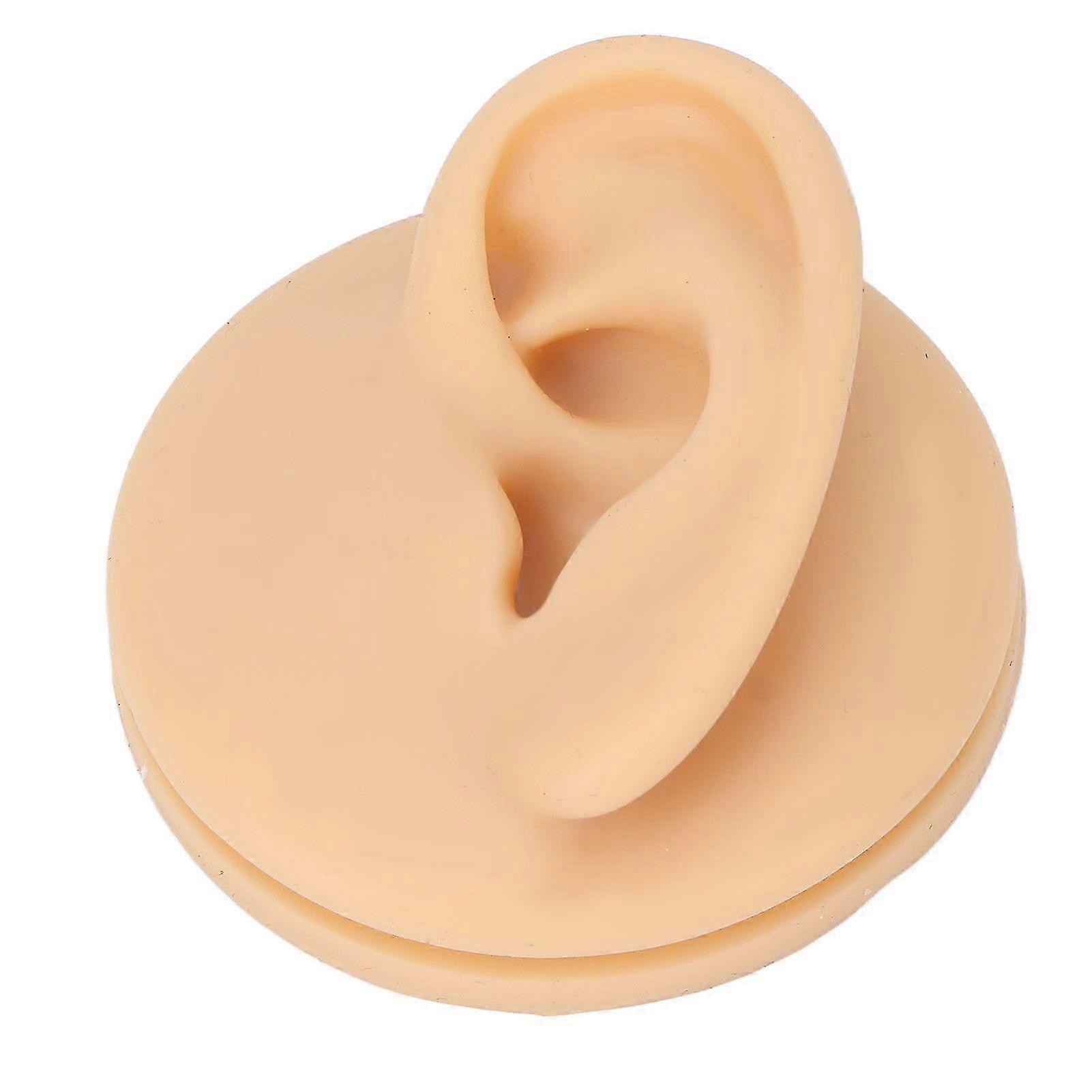 Soft Silicone Left Ear Model for Acupuncture Practice and Simulation Display