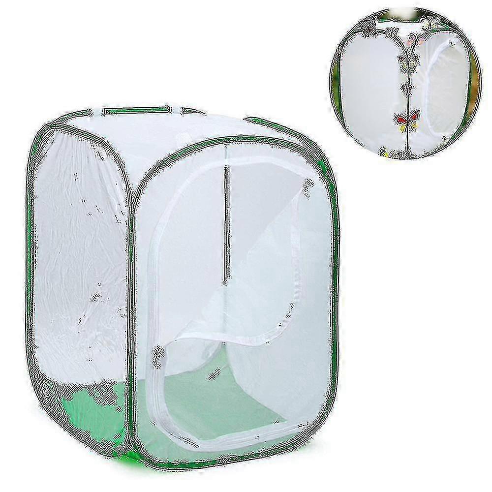 Large Collapsible Butterfly Habitat Cage Terrarium Pop-up Net for Raising Insects