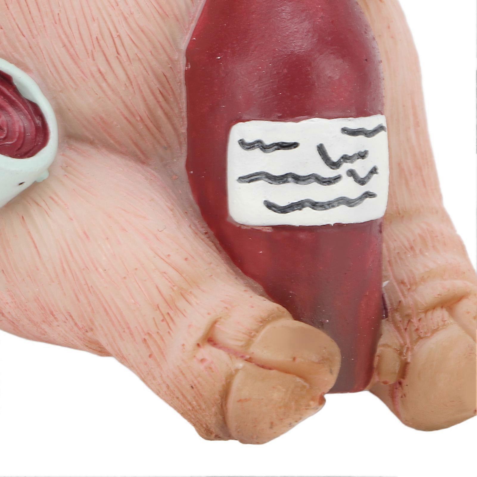 Pig Statue Resin Material Retro Style Hand Painted Vivid Cute Decorative Animal Figurine for Space Decoration