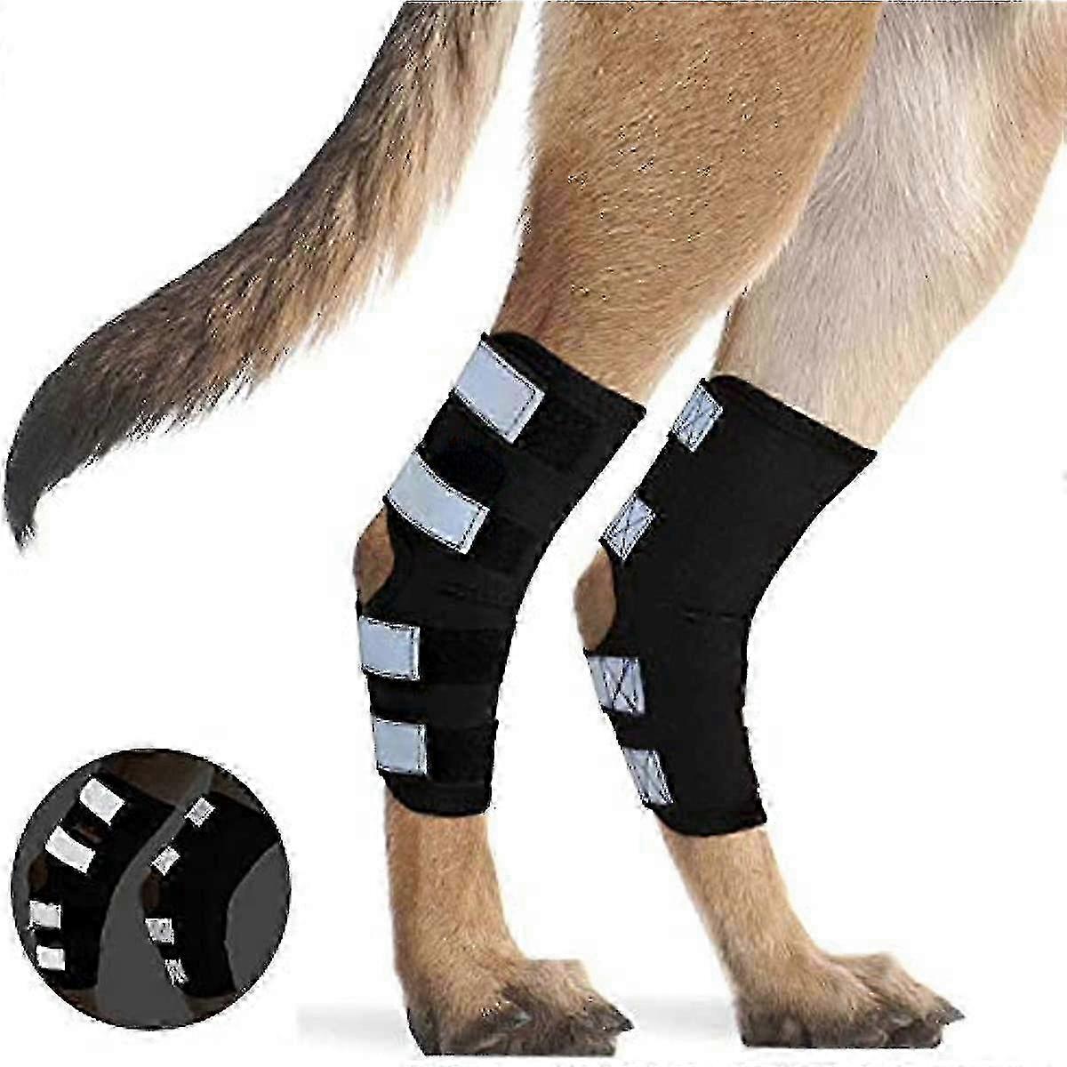 犬と猫の怪我の回復と創傷治癒のためのペットホックサポート