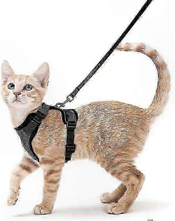 Soft Pink Adjustable Cat Harness with Reflective Design for Comfortable Strolls and Easy Handling