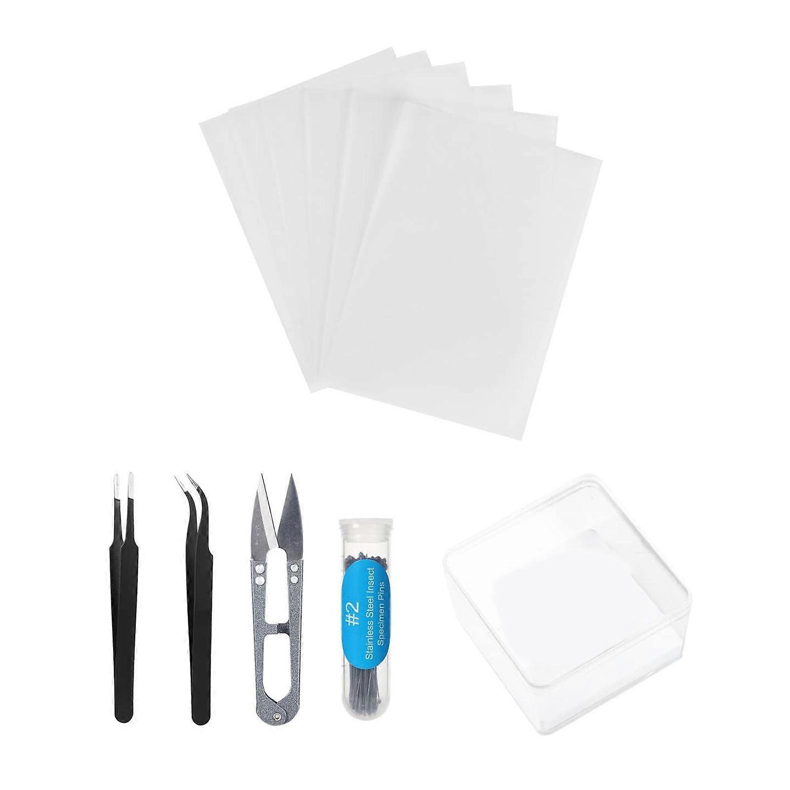 Nature Exploration Set ABS Sample Conservation Equipment With Instructional Manual For Innovative Projects Multicolor