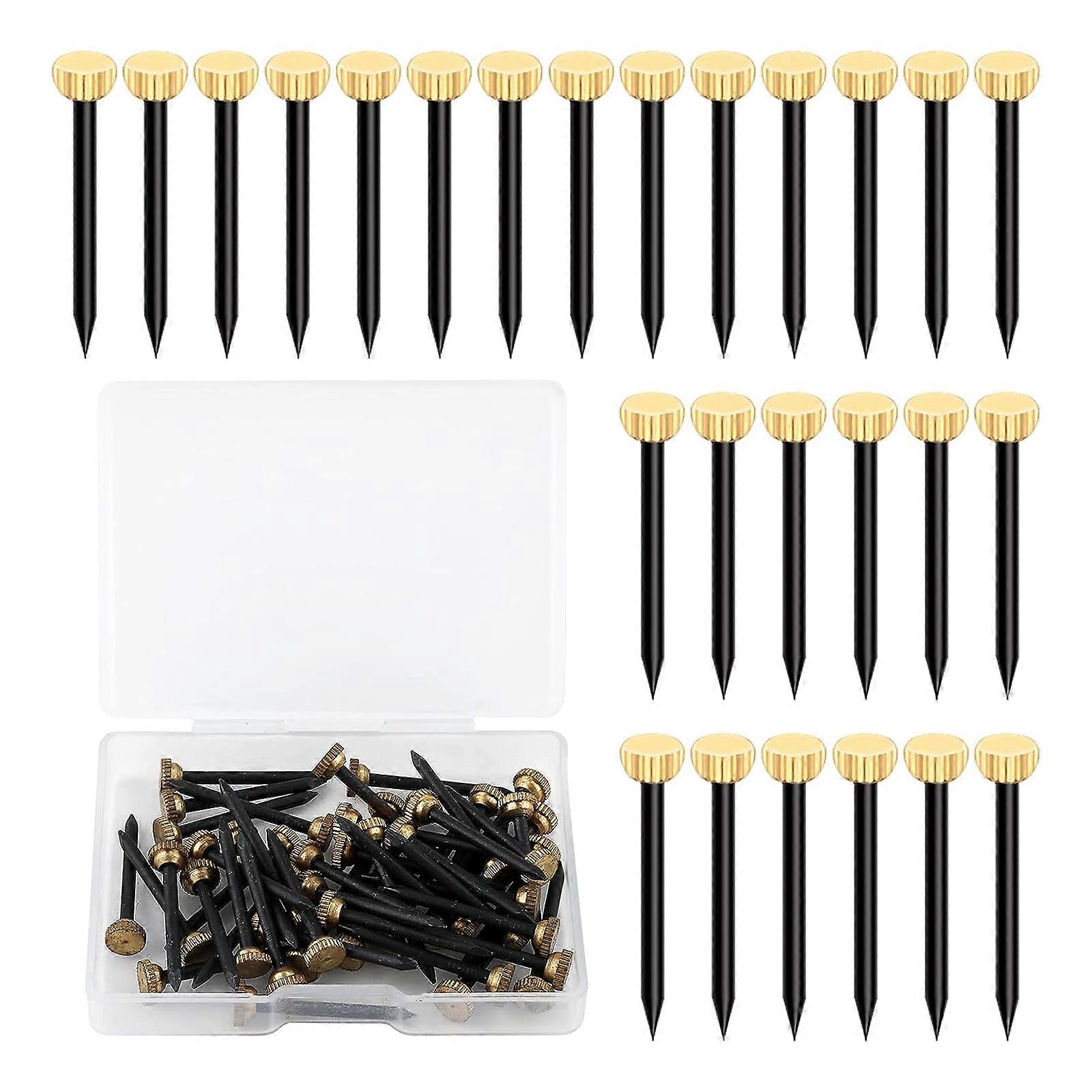 Pack of 50 Nails for Picture Frames Large Head Nails for Frames Strong & Decorative Nails Long Tacks Simple Installation Multicolor