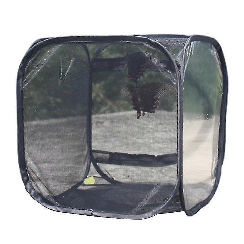 Collapsible Insect Cage Foldable Polyester Perfect Incubator Butterfly Cage for Home