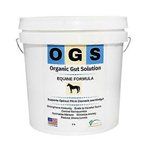 Organic Gut Solution Organic Gut Solution Equine Formula, 6 Lbs