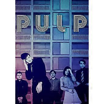 PULP v2 .. .Retro Jigsaw Puzzle Brain Teaser KA0212