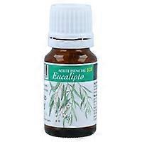 Eucalyptus Essential Oil 10 ml