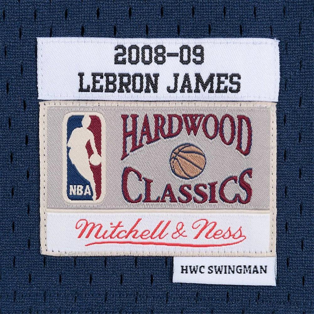 mitchell ness lebron james