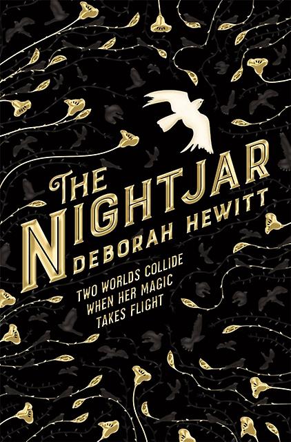 The Nightjar by Deborah Hewitt Paperback