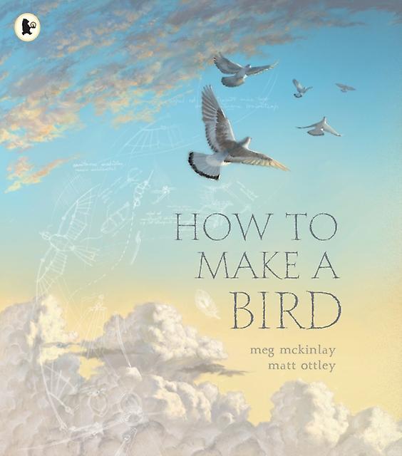 How To Make A Bird by Meg McKinlay Paperback