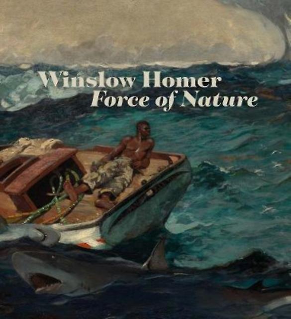 Winslow Homer by Chiara Di Stefano Paperback Book