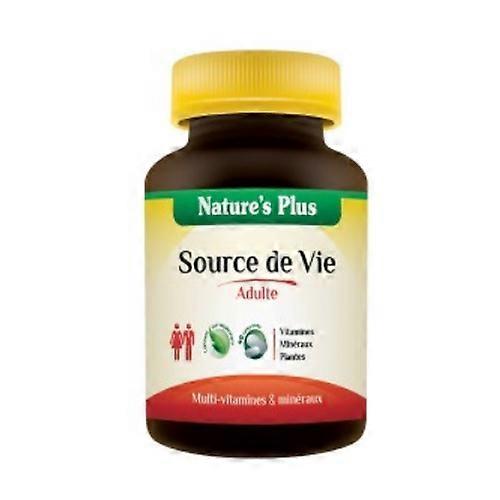 Adult 90 tablets