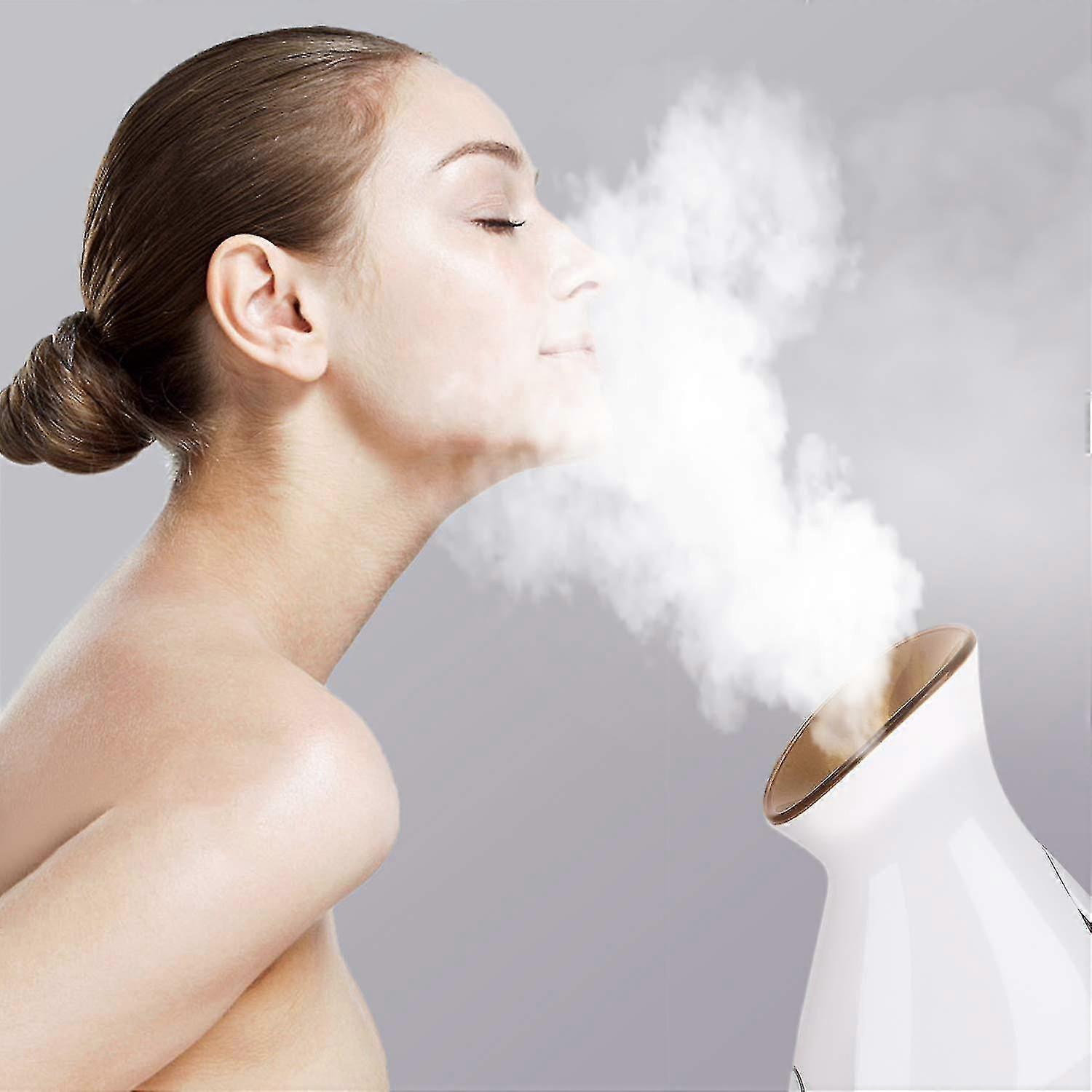 Face Steamer Professional, Nano Ionic Facial Steamer With Warm Mist
