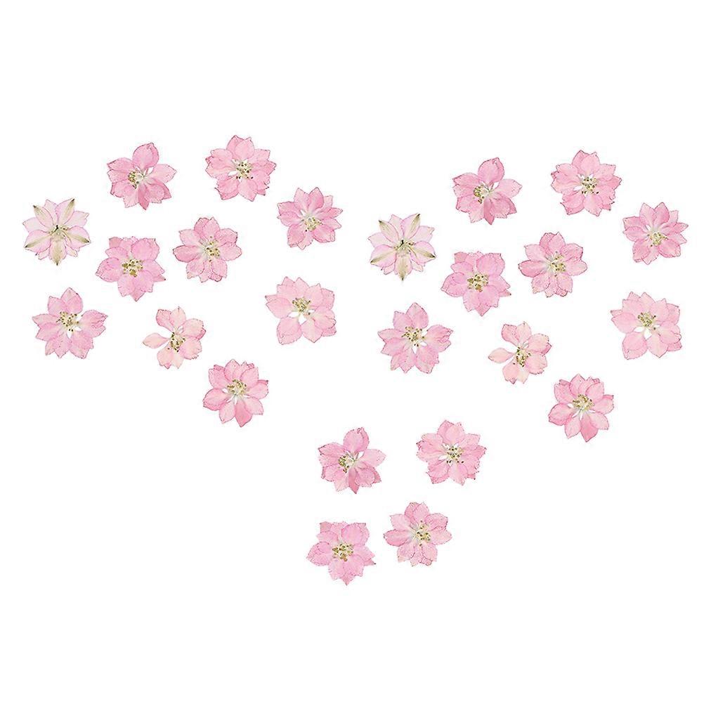Pressed Flower Kit Dried Plants Diy Crafts Accessory For Nail Art Square Shape Bamboo Craft Making 24Pcs