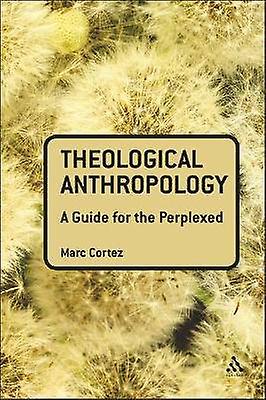 Theological Anthropology