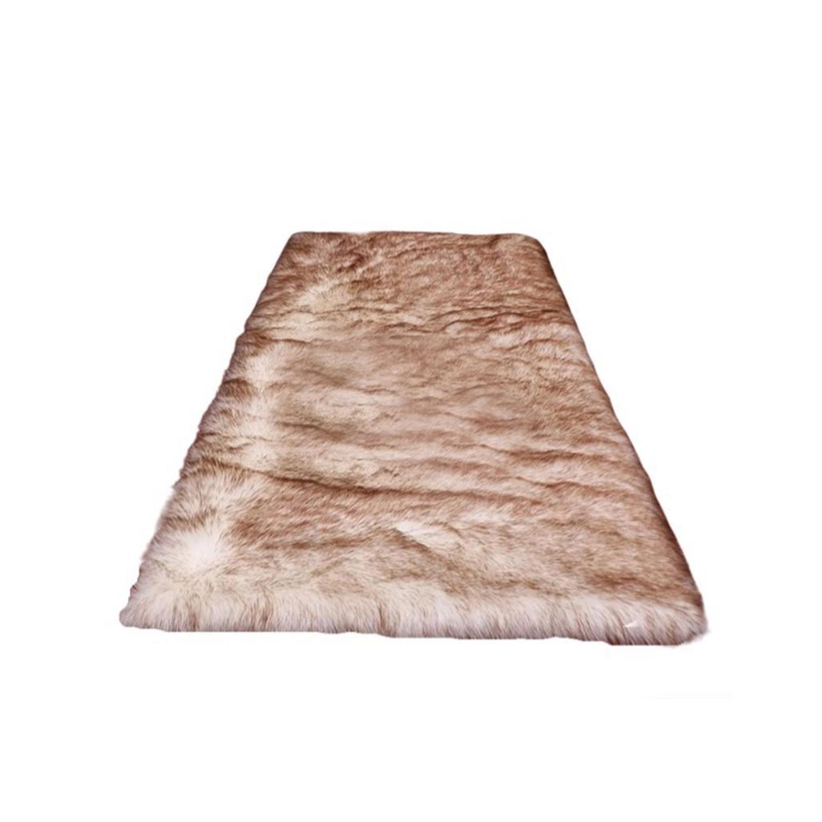60*120cm Warm Hairy Comfortable Carpet