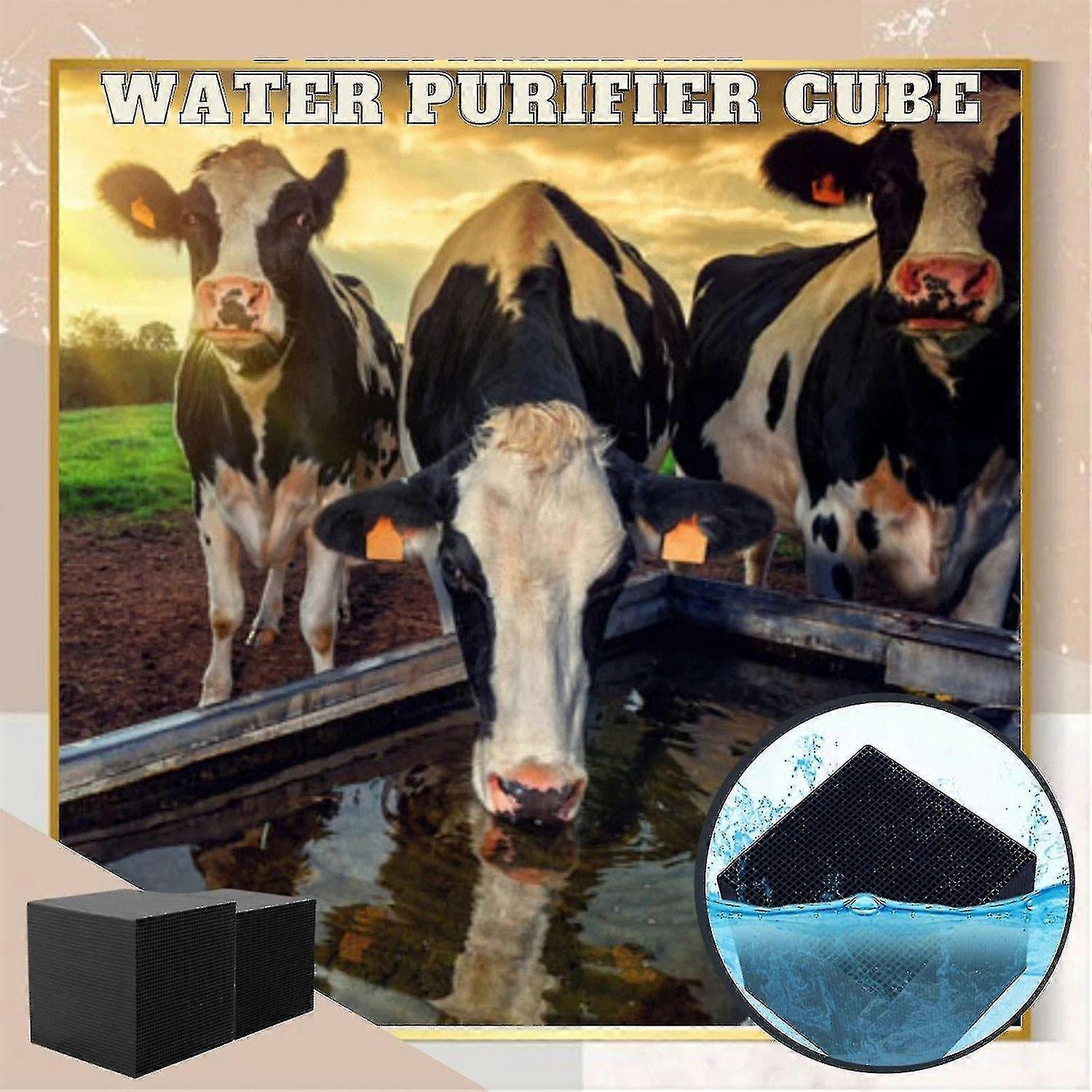 Water Purifier Cubes Activate Carbon High-efficiency Water Purification Filter For-qq