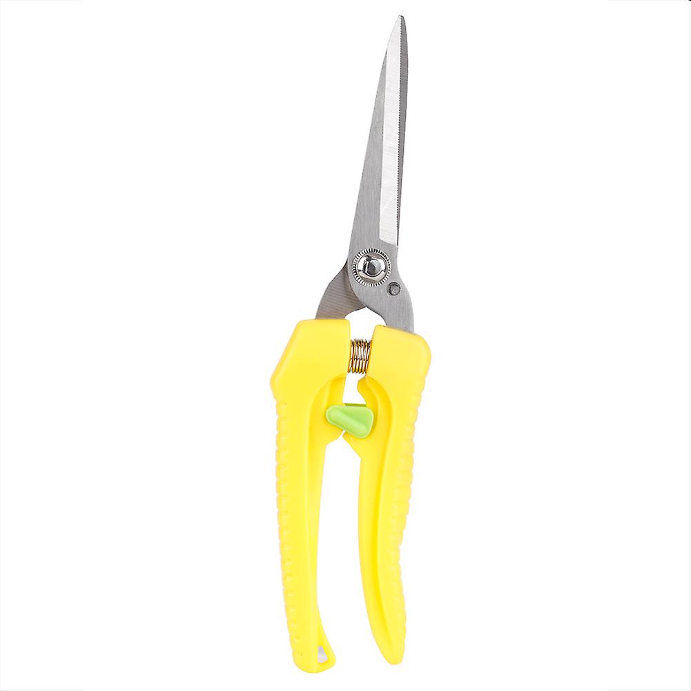 Pruning, Scissors, Plant, Trimming, Cutter, Shears